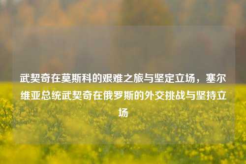 武契奇在莫斯科的艰难之旅与坚定立场，塞尔维亚总统武契奇在俄罗斯的外交挑战与坚持立场