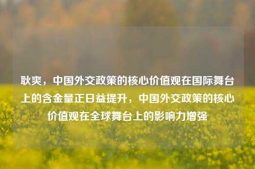 耿爽，中国外交政策的核心价值观在国际舞台上的含金量正日益提升，中国外交政策的核心价值观在全球舞台上的影响力增强