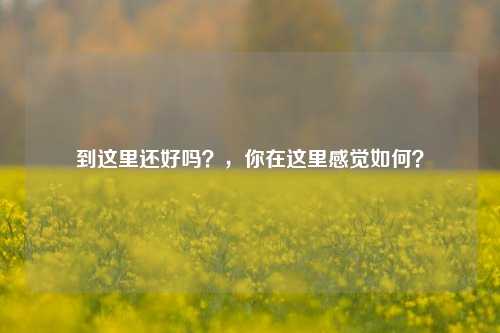 到这里还好吗？，你在这里感觉如何？
