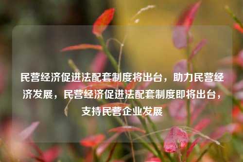 民营经济促进法配套制度将出台，助力民营经济发展，民营经济促进法配套制度即将出台，支持民营企业发展