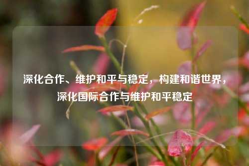深化合作、维护和平与稳定，构建和谐世界，深化国际合作与维护和平稳定