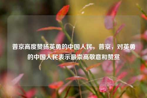 普京高度赞扬英勇的中国人民，普京，对英勇的中国人民表示最崇高敬意和赞赏
