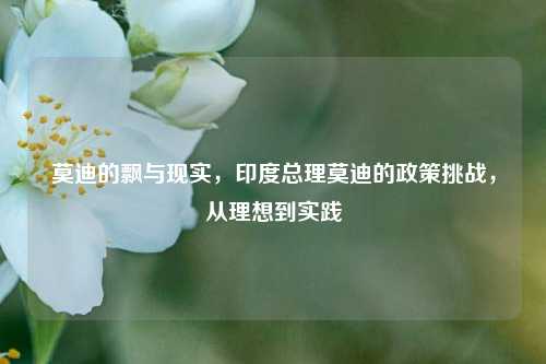 莫迪的飘与现实，印度总理莫迪的政策挑战，从理想到实践