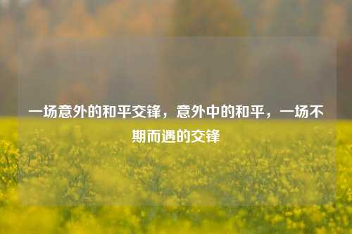 一场意外的和平交锋，意外中的和平，一场不期而遇的交锋