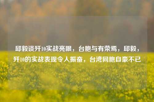 邱毅谈歼10实战亮眼，台胞与有荣焉，邱毅，歼10的实战表现令人振奋，台湾同胞自豪不已
