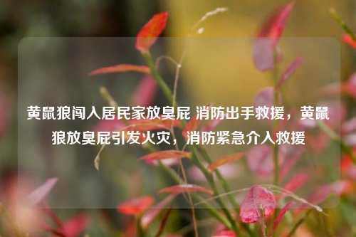 黄鼠狼闯入居民家放臭屁 消防出手救援，黄鼠狼放臭屁引发火灾，消防紧急介入救援