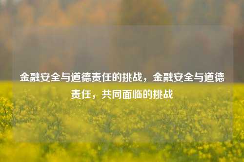 金融安全与道德责任的挑战，金融安全与道德责任，共同面临的挑战