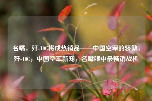 名嘴，歼-10C将成热销品——中国空军的骄傲，歼-10C，中国空军新宠，名嘴眼中最畅销战机