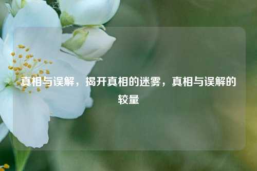 真相与误解，揭开真相的迷雾，真相与误解的较量