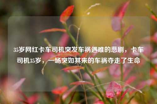 35岁网红卡车司机突发车祸遇难的悲剧，卡车司机35岁，一场突如其来的车祸夺走了生命