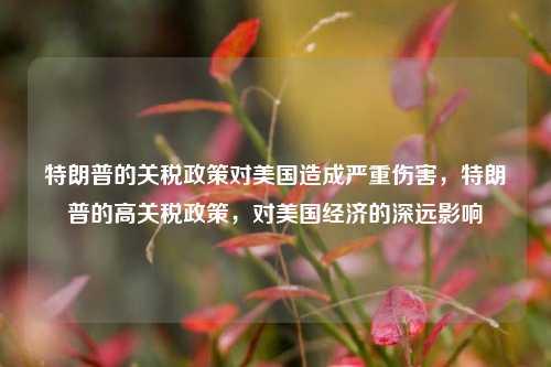 特朗普的关税政策对美国造成严重伤害，特朗普的高关税政策，对美国经济的深远影响