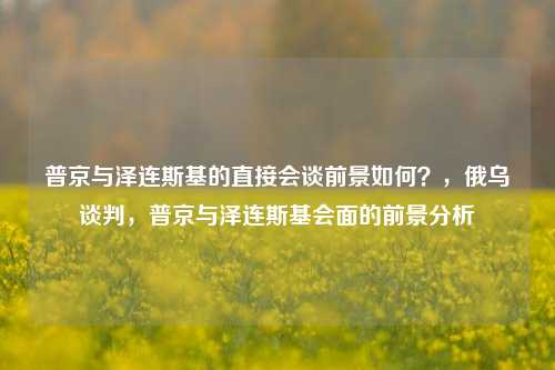 普京与泽连斯基的直接会谈前景如何？，俄乌谈判，普京与泽连斯基会面的前景分析