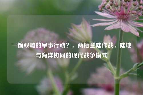 一箭双雕的军事行动？，两栖登陆作战，陆地与海洋协同的现代战争模式