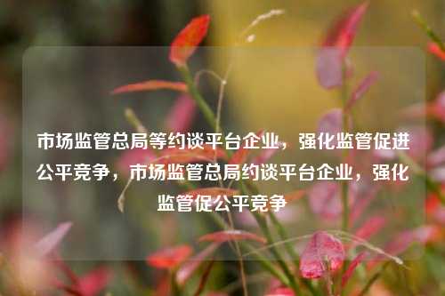 市场监管总局等约谈平台企业，强化监管促进公平竞争，市场监管总局约谈平台企业，强化监管促公平竞争