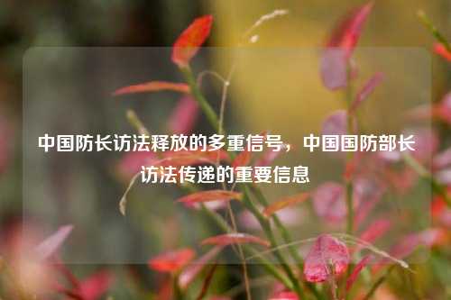 中国防长访法释放的多重信号，中国国防部长访法传递的重要信息