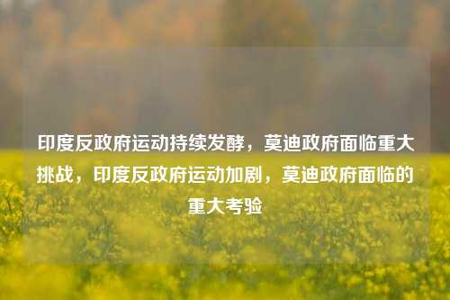 印度反政府运动持续发酵，莫迪政府面临重大挑战，印度反政府运动加剧，莫迪政府面临的重大考验