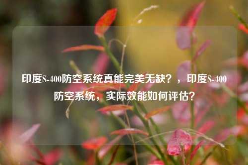 印度S-400防空系统真能完美无缺？，印度S-400防空系统，实际效能如何评估？