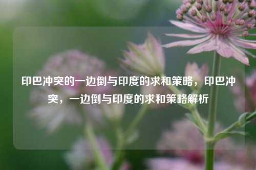 印巴冲突的一边倒与印度的求和策略，印巴冲突，一边倒与印度的求和策略解析