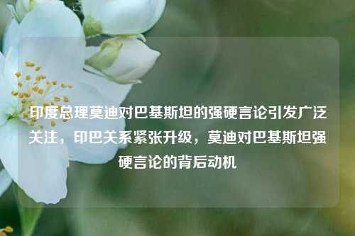 印度总理莫迪对巴基斯坦的强硬言论引发广泛关注，印巴关系紧张升级，莫迪对巴基斯坦强硬言论的背后动机