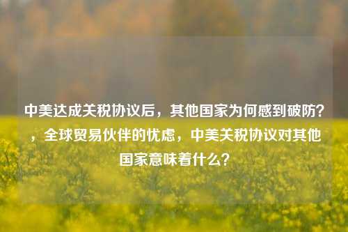 中美达成关税协议后，其他国家为何感到破防？，全球贸易伙伴的忧虑，中美关税协议对其他国家意味着什么？