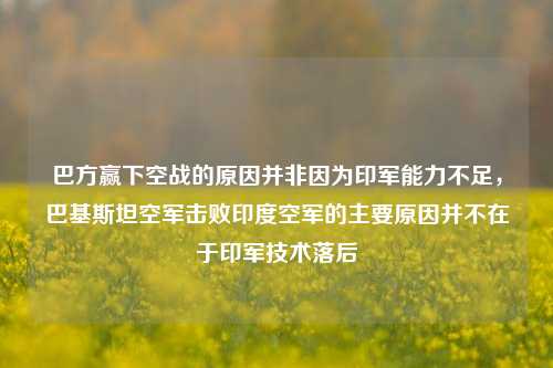 巴方赢下空战的原因并非因为印军能力不足，巴基斯坦空军击败印度空军的主要原因并不在于印军技术落后