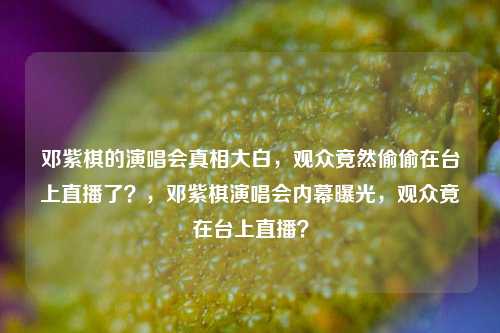 邓紫棋的演唱会真相大白，观众竟然偷偷在台上直播了？，邓紫棋演唱会内幕曝光，观众竟在台上直播？