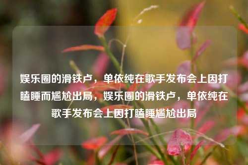 娱乐圈的滑铁卢，单依纯在歌手发布会上因打瞌睡而尴尬出局，娱乐圈的滑铁卢，单依纯在歌手发布会上因打瞌睡尴尬出局