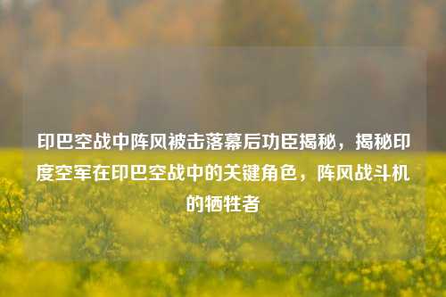 印巴空战中阵风被击落幕后功臣揭秘，揭秘印度空军在印巴空战中的关键角色，阵风战斗机的牺牲者
