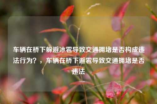 车辆在桥下躲避冰雹导致交通拥堵是否构成违法行为？，车辆在桥下避雹导致交通拥堵是否违法