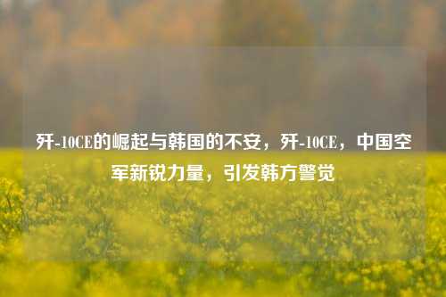 歼-10CE的崛起与韩国的不安，歼-10CE，中国空军新锐力量，引发韩方警觉