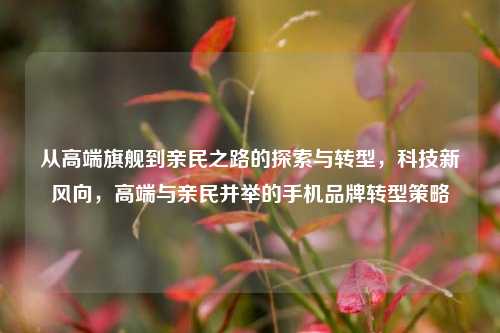 从高端旗舰到亲民之路的探索与转型，科技新风向，高端与亲民并举的手机品牌转型策略