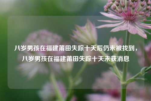 八岁男孩在福建莆田失踪十天后仍未被找到，八岁男孩在福建莆田失踪十天未获消息
