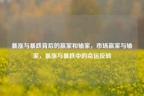 暴涨与暴跌背后的赢家和输家，市场赢家与输家，暴涨与暴跌中的命运反转