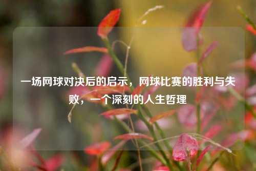一场网球对决后的启示，网球比赛的胜利与失败，一个深刻的人生哲理