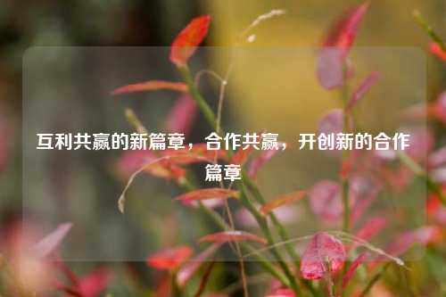 互利共赢的新篇章，合作共赢，开创新的合作篇章