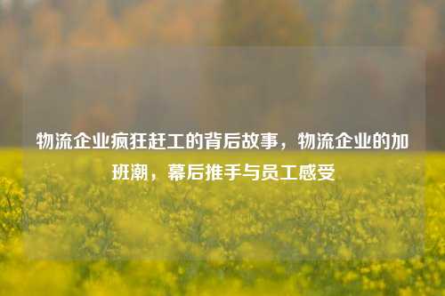 物流企业疯狂赶工的背后故事，物流企业的加班潮，幕后推手与员工感受