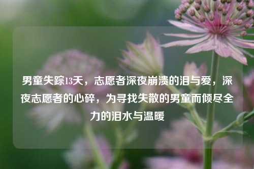 男童失踪13天，志愿者深夜崩溃的泪与爱，深夜志愿者的心碎，为寻找失散的男童而倾尽全力的泪水与温暖
