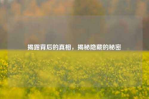 揭露背后的真相，揭秘隐藏的秘密