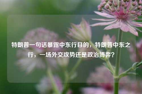 特朗普一句话暴露中东行目的，特朗普中东之行，一场外交攻势还是政治博弈？