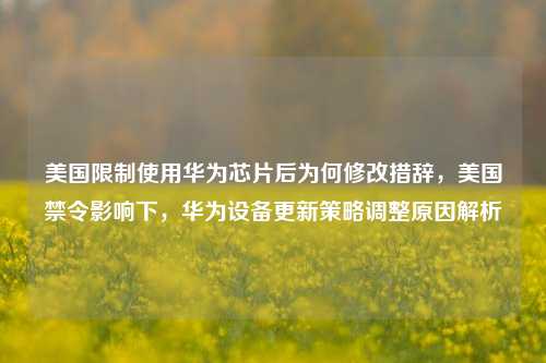 美国限制使用华为芯片后为何修改措辞，美国禁令影响下，华为设备更新策略调整原因解析
