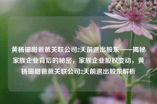 黄杨钿甜爸爸关联公司2天前退出股东——揭秘家族企业背后的秘密，家族企业股权变动，黄杨钿甜爸爸关联公司2天前退出股东解析