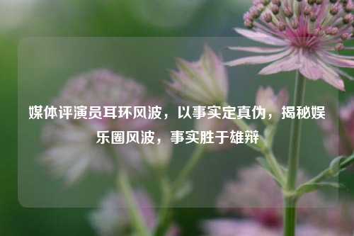 媒体评演员耳环风波，以事实定真伪，揭秘娱乐圈风波，事实胜于雄辩