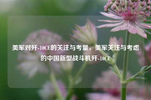 美军对歼-10CE的关注与考量，美军关注与考虑的中国新型战斗机歼-10CE