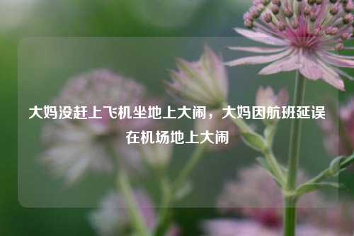大妈没赶上飞机坐地上大闹，大妈因航班延误在机场地上大闹