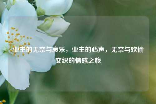 业主的无奈与哀乐，业主的心声，无奈与欢愉交织的情感之旅