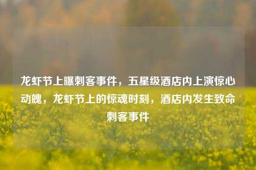 龙虾节上曝刺客事件，五星级酒店内上演惊心动魄，龙虾节上的惊魂时刻，酒店内发生致命刺客事件