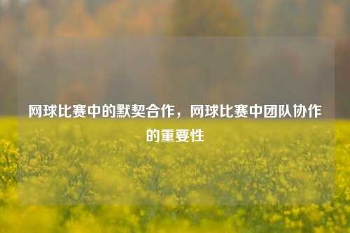 网球比赛中的默契合作，网球比赛中团队协作的重要性