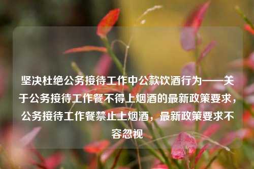 坚决杜绝公务接待工作中公款饮酒行为——关于公务接待工作餐不得上烟酒的最新政策要求，公务接待工作餐禁止上烟酒，最新政策要求不容忽视