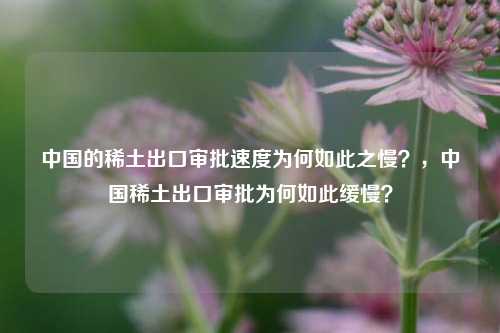 中国的稀土出口审批速度为何如此之慢？，中国稀土出口审批为何如此缓慢？