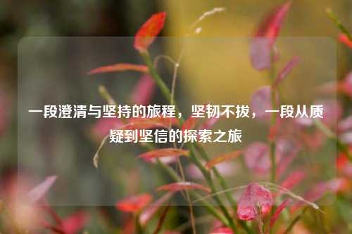 一段澄清与坚持的旅程，坚韧不拔，一段从质疑到坚信的探索之旅